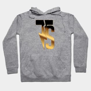 tts Hoodie